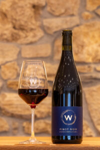 Pinot Noir trocken Bodenheimer Burgweg 2018